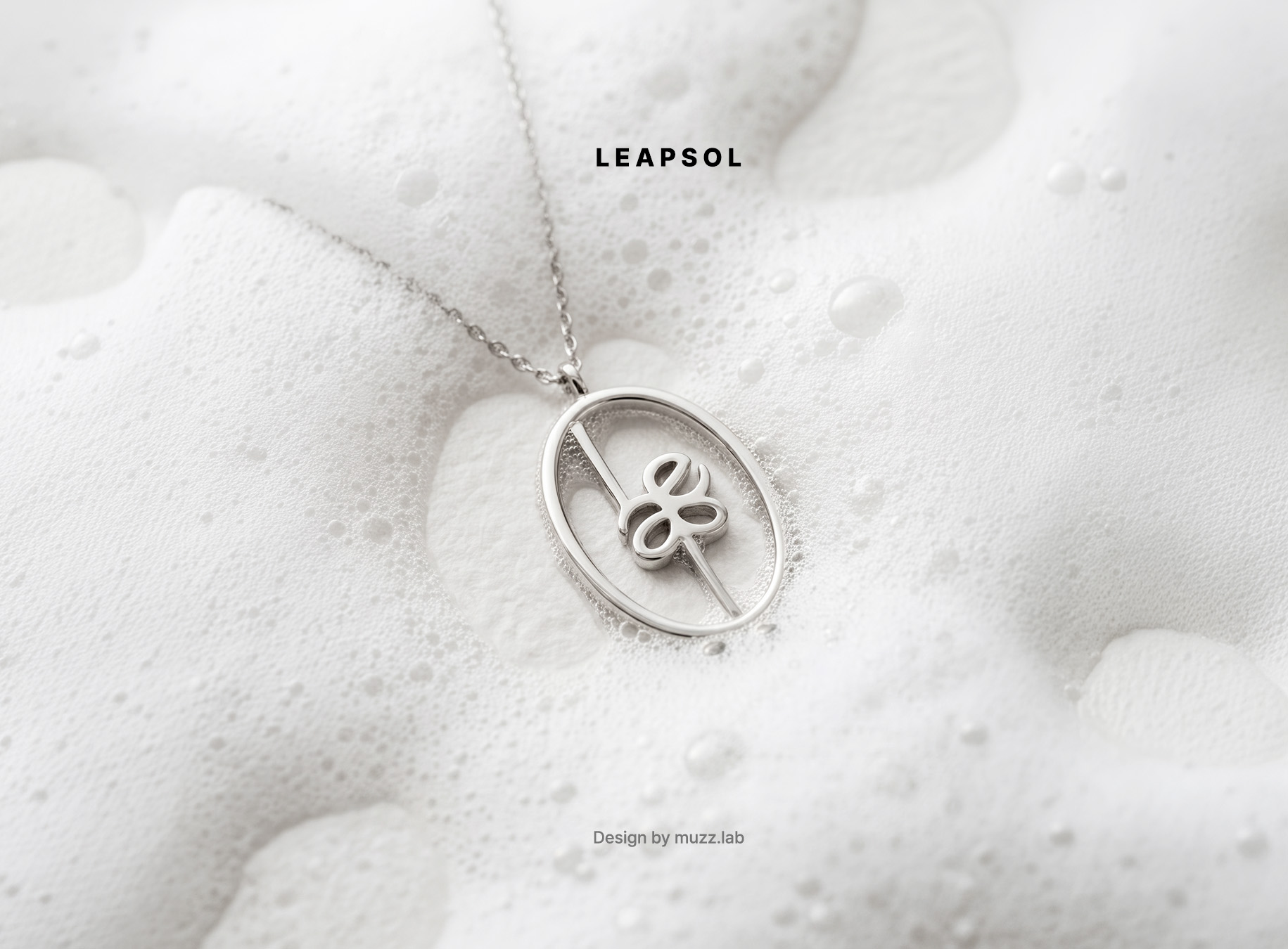 05leapsol2